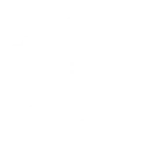 Customer Loyalty Optimization icon