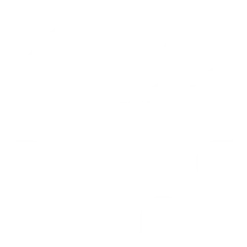 Optimize Marketing icon